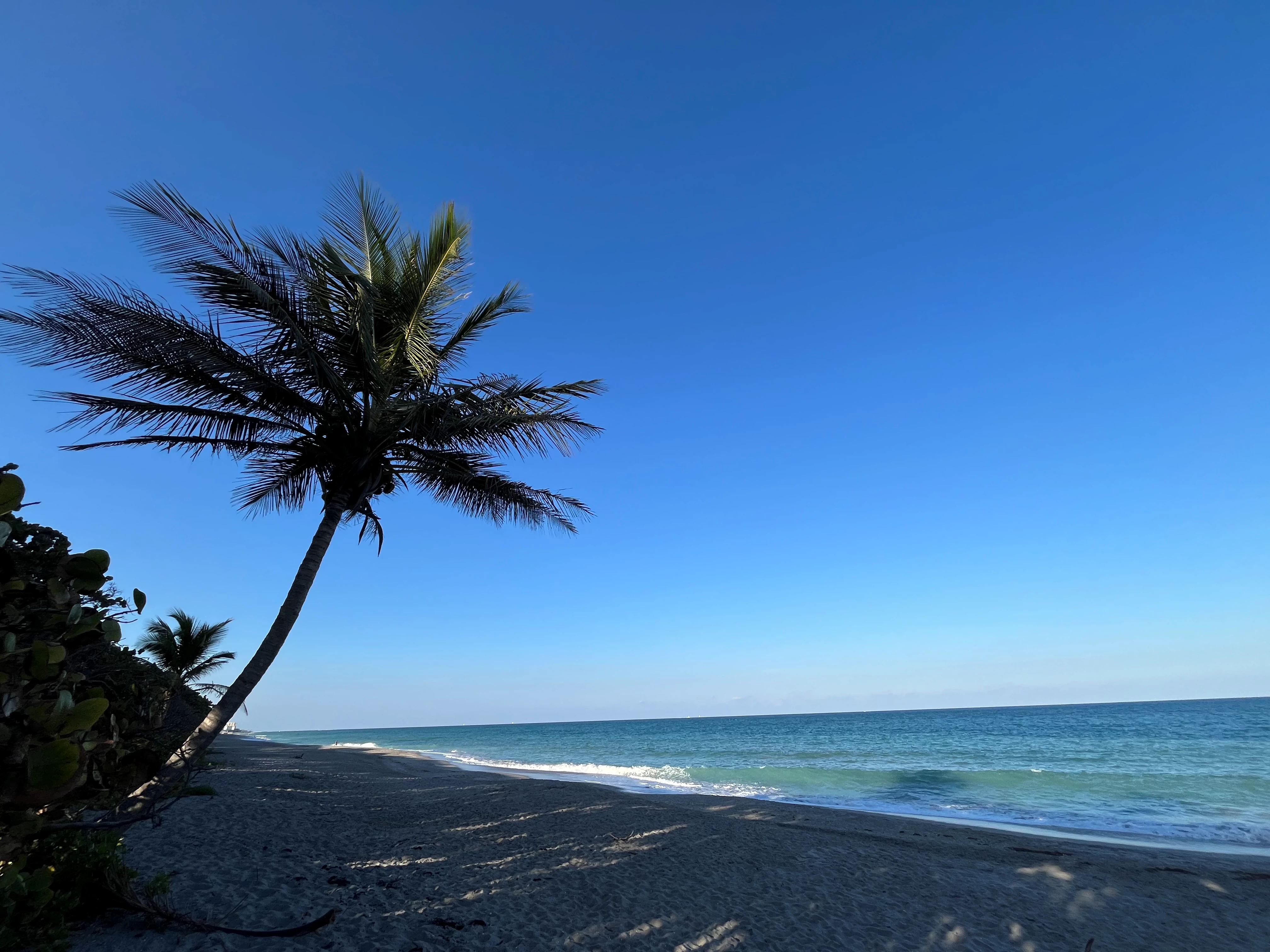 listing sample
631 831 6033 boat rentals New York BROOKHAVEN New York  GTO GTO 1234 26 