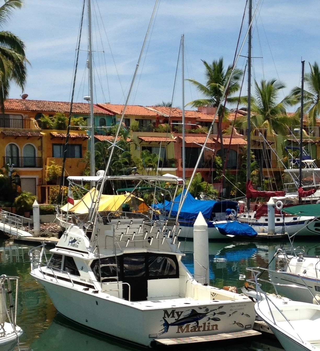 The My Marlin boat rentals Jalisco Puerto Vallarta Jalisco  Bertram Sportfisher 1991 31 