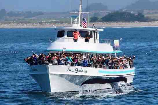 Boat Rentals In MOSS LANDING, California, United States, Monterey Bay ...