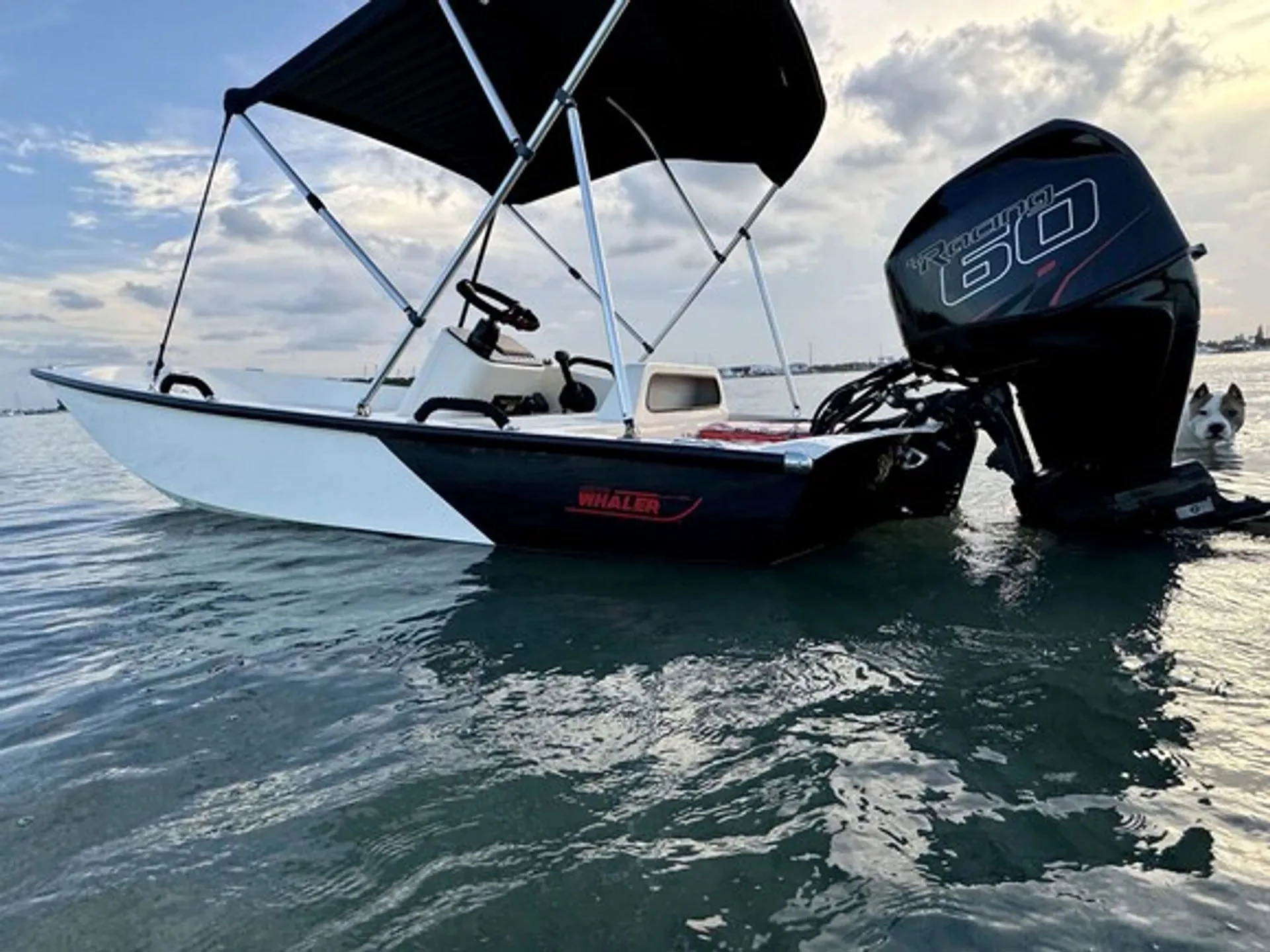  boat rentals Florida WEST PALM BEACH Florida  13 FOOT BOSTON WHALER Sport 2024 14 
