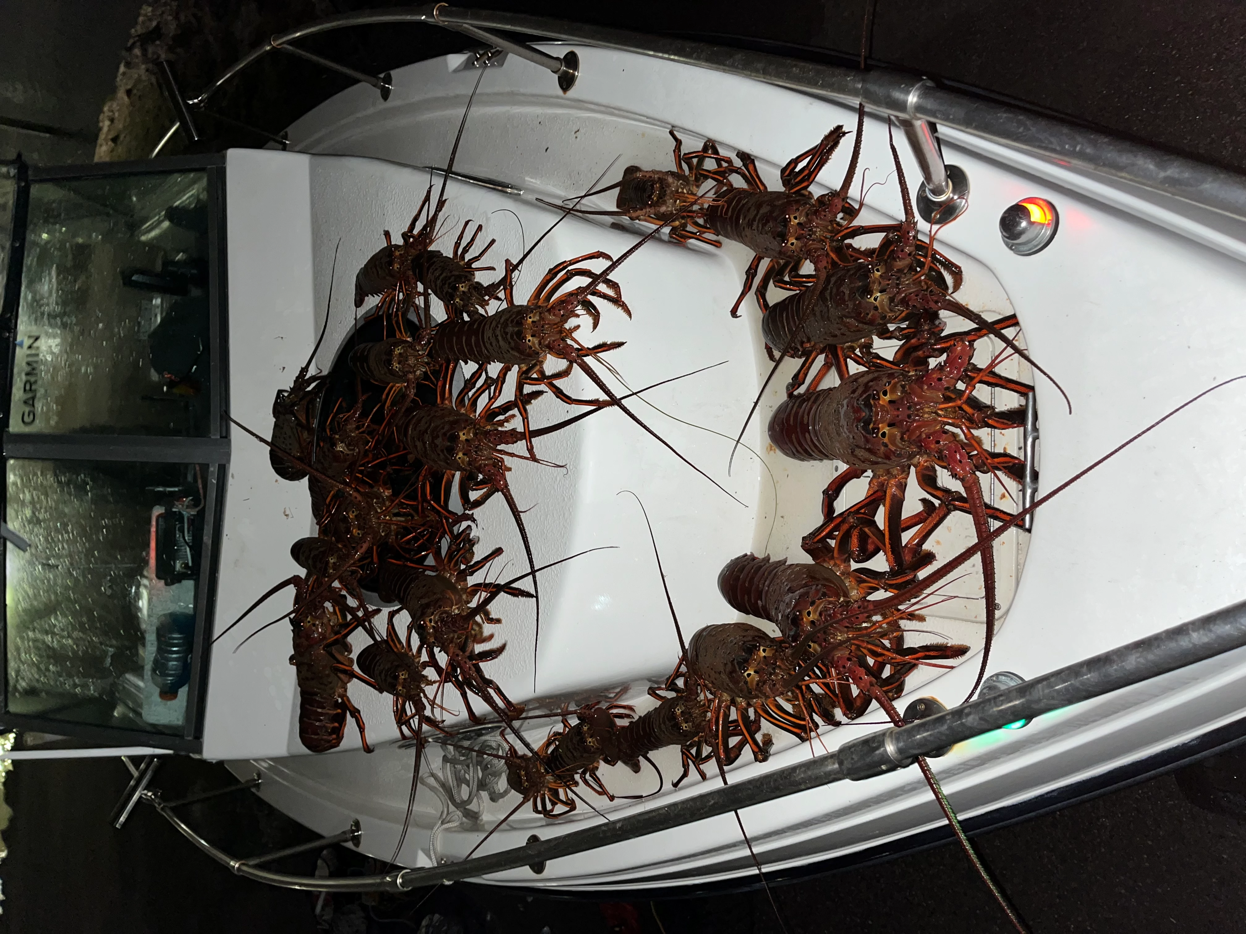 We offer lobster trips along with fishing boat rentals Arkansas OXNARD Arkansas  Seaswirl 1850 WA 1999 20 