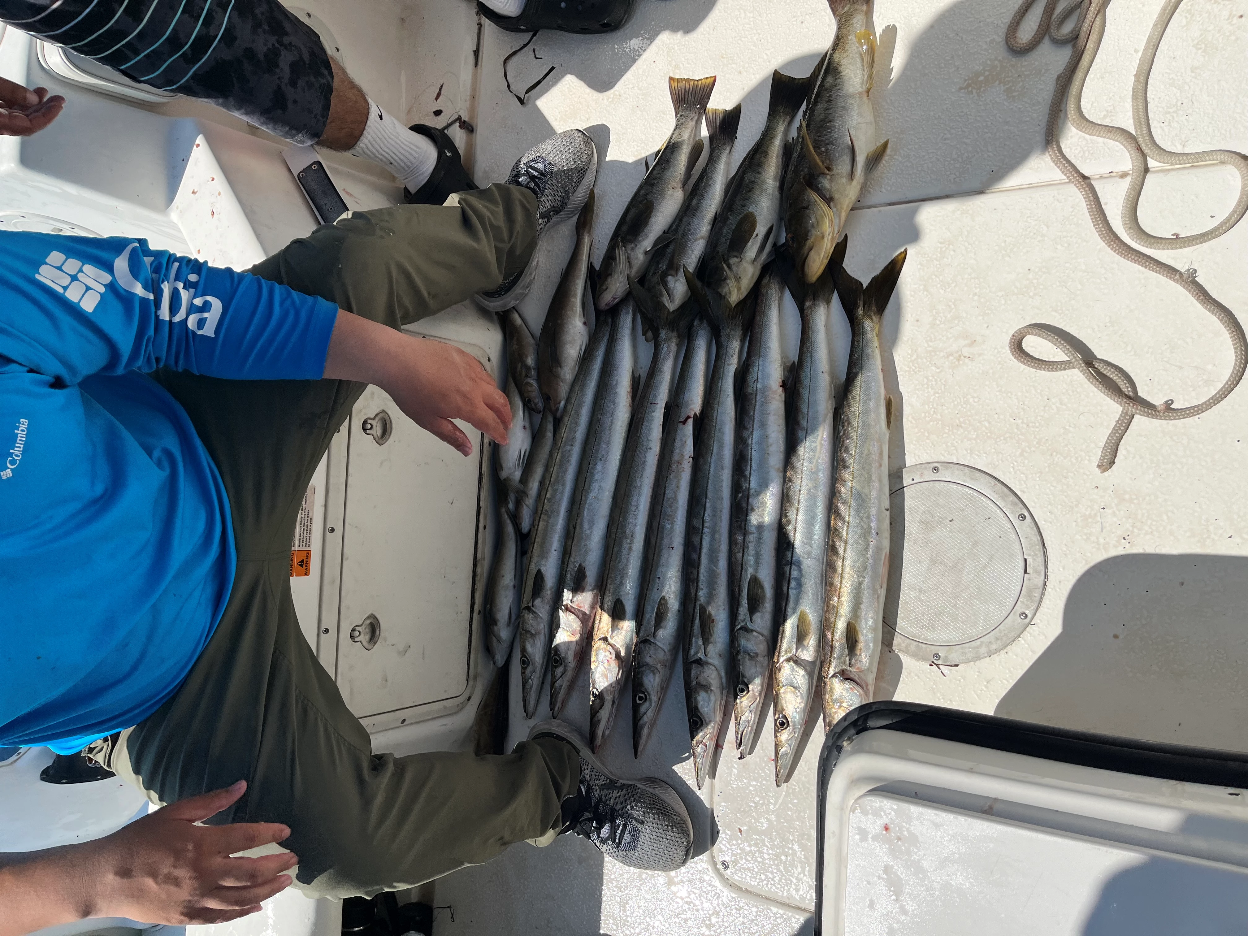 Great fishing  boat rentals Arkansas OXNARD Arkansas  Seaswirl 1850 WA 1999 20 