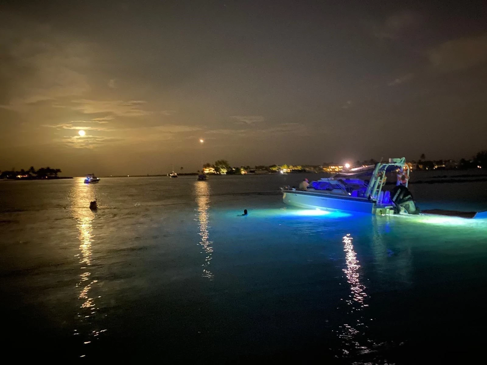   boat rentals Florida WEST PALM BEACH Florida  Axopar 24HT 2016 26 