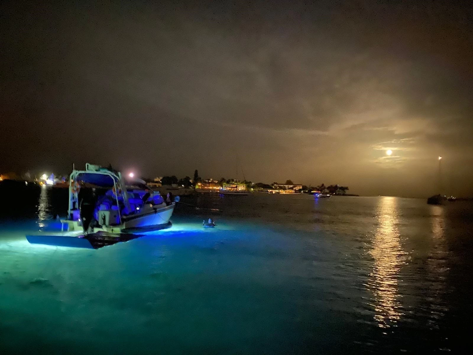   boat rentals Florida WEST PALM BEACH Florida  Axopar 24HT 2016 26 