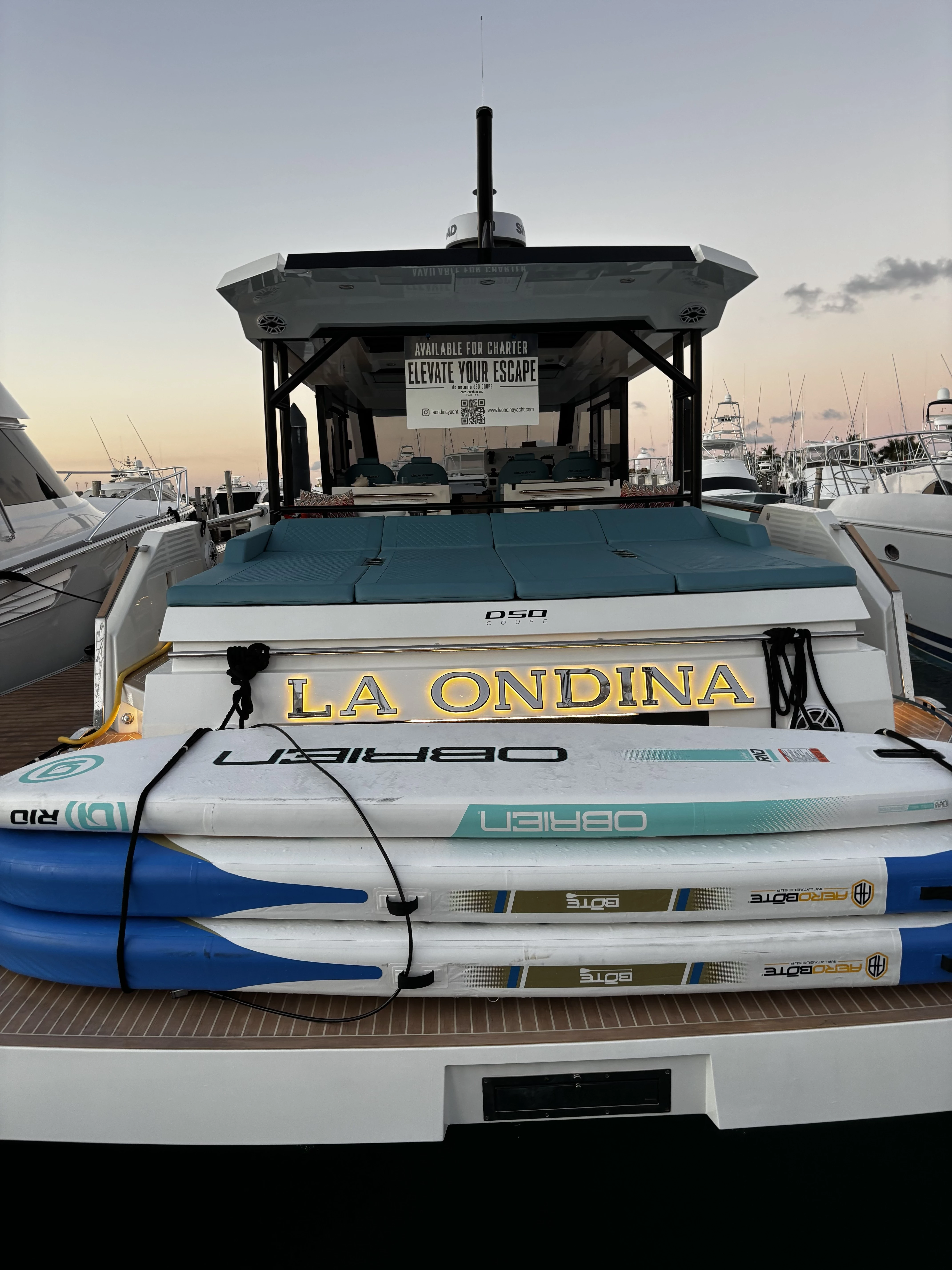   boat rentals Florida Loxahatchee Florida  D’Antonio D50 2025 50 