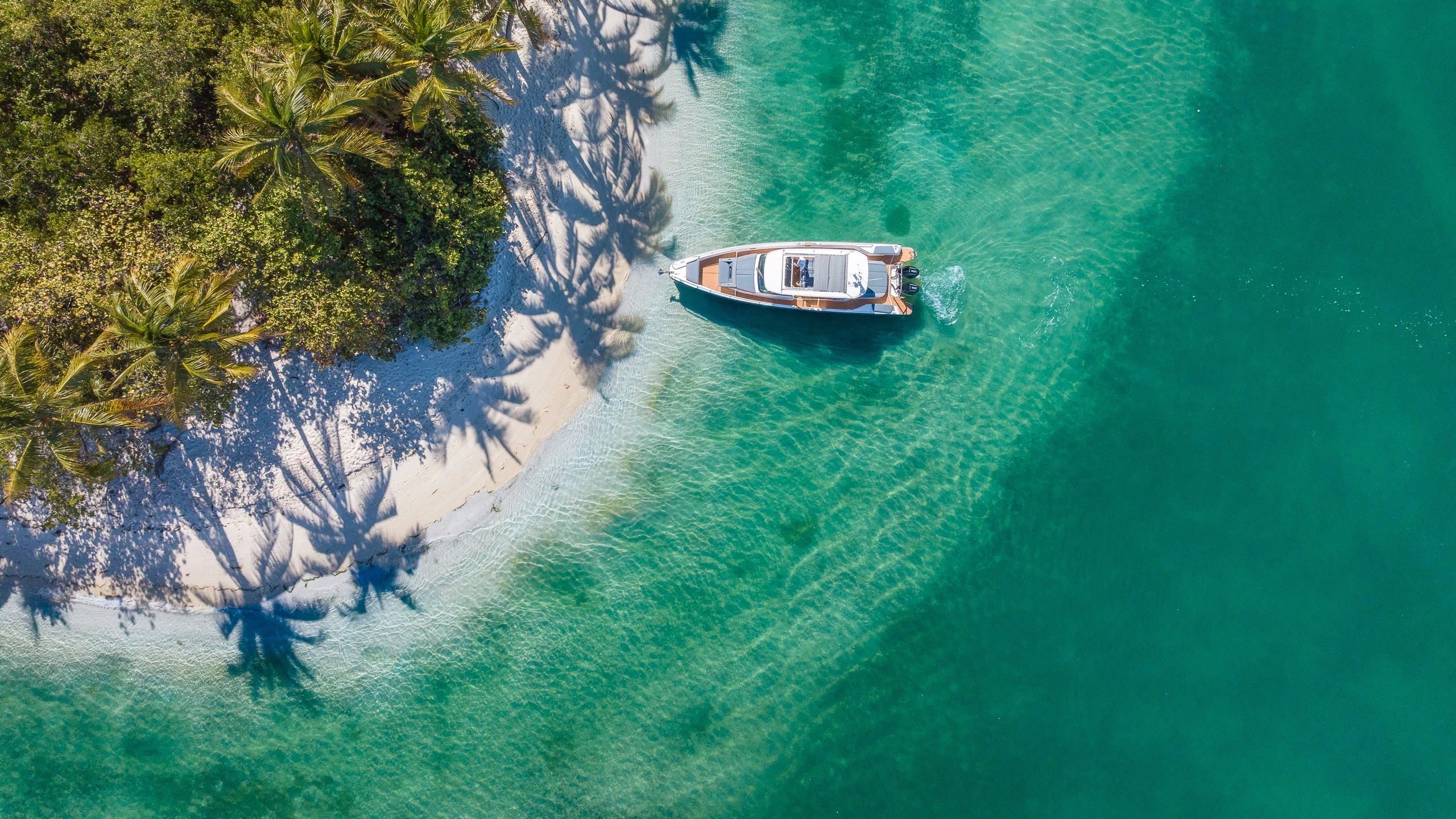   boat rentals Florida MIAMI BEACH Florida  Axopar 38 Sun-Top 2025 38 