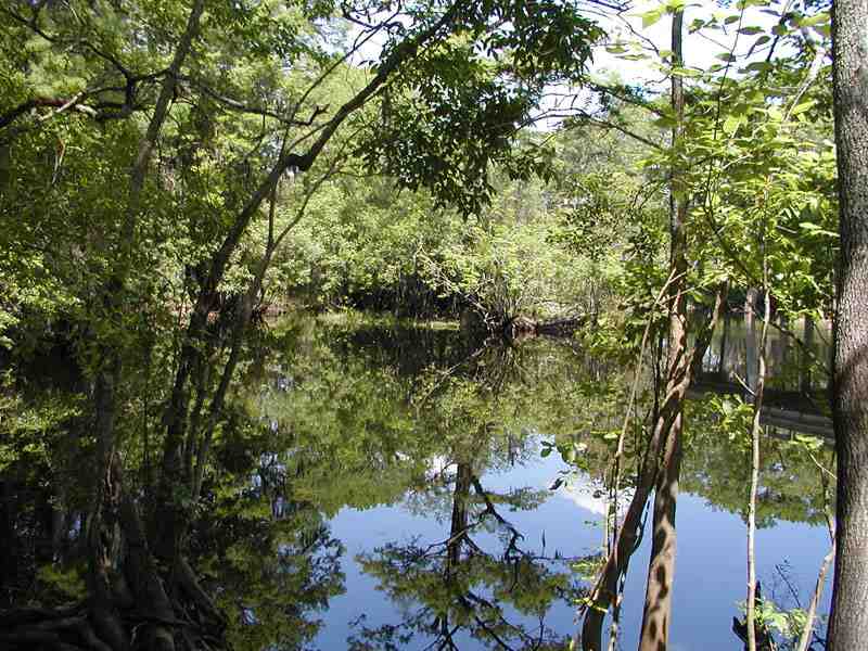  boat rentals Georgia Savannah Georgia Ebenezer Creek, Savannah River, Ogeechee River Old Town Guide 0 17